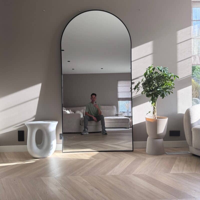 Moderne interieurdecoratie met grote spiegel, stijlvolle plant en natuurlijke lichtinval in een woonkamer.