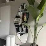 Modern plantenhoek met mooie spiegel en opgeruimde garderobe. Elegante planten met grote groene bladeren in stijlvolle pot, yep in een modern interieur met opgeruimde garderobe en een opvallende spiegel, sfeer van rust en stijl.